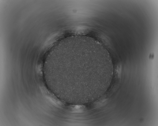 X0000111830663200908131548