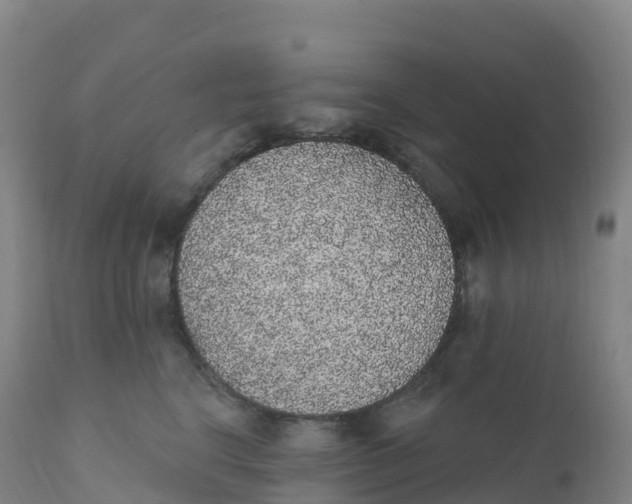 X0000111830664200908131548