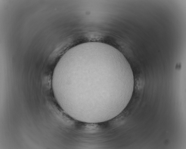 X0000111830666200908131548