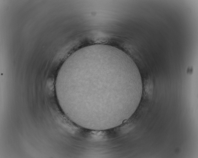 X0000111830667200908131548