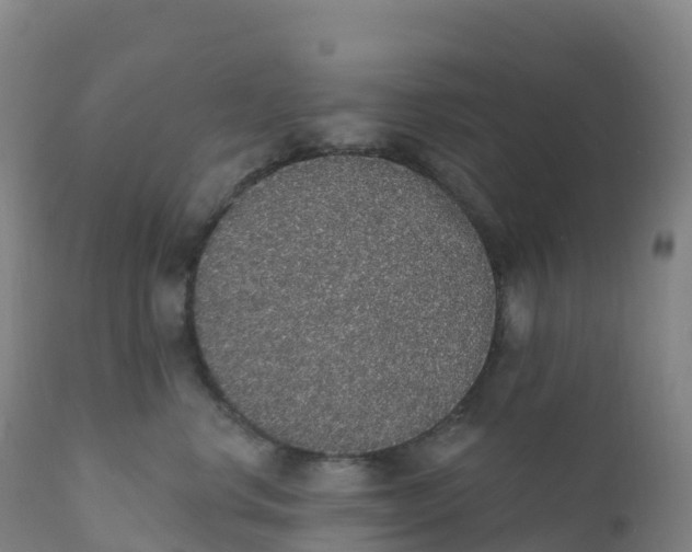 X0000111830668200908131548