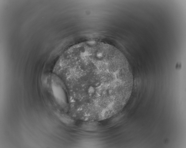 X0000111830671200908131548