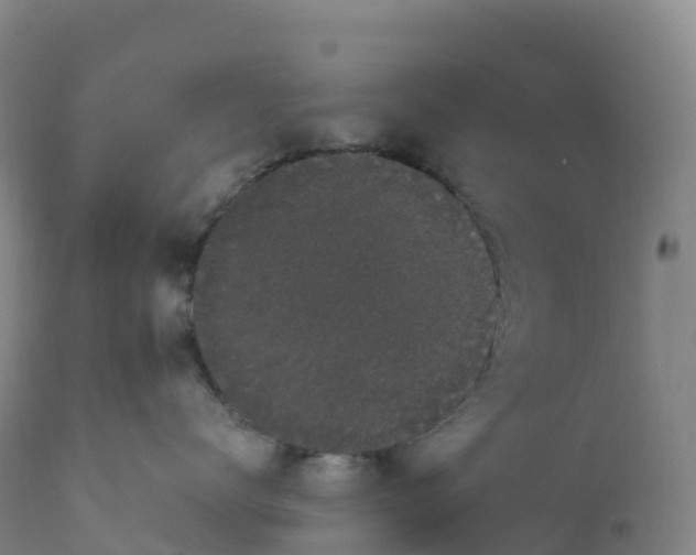 X0000111830672200908131548