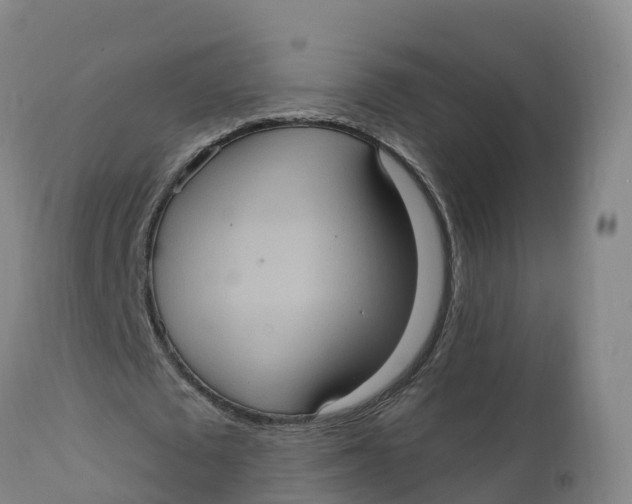 X0000111830673200908131547