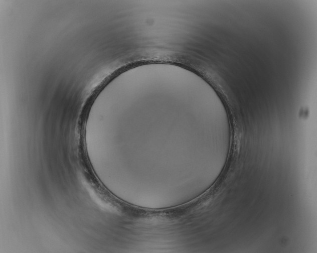 X0000111830674200908131547