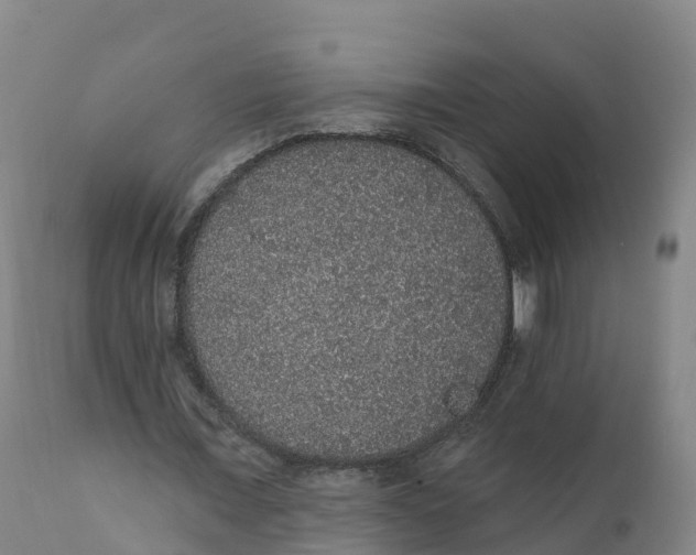 X0000111830675200908131547