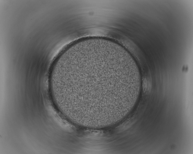 X0000111830676200908131547