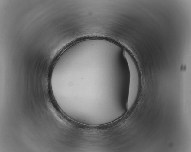 X0000111830677200908131547