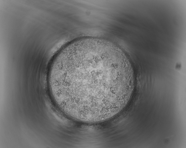 X0000111830679200908131547