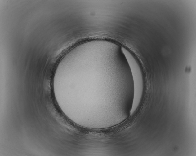 X0000111830681200908131547