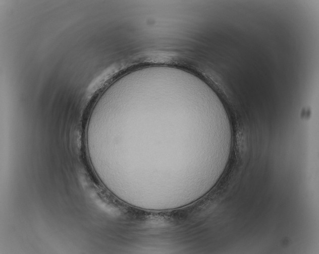 X0000111830682200908131547