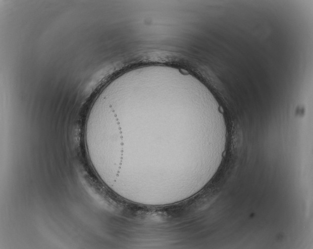 X0000111830683200908131547