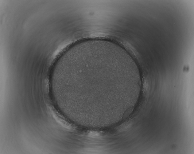 X0000111830684200908131547