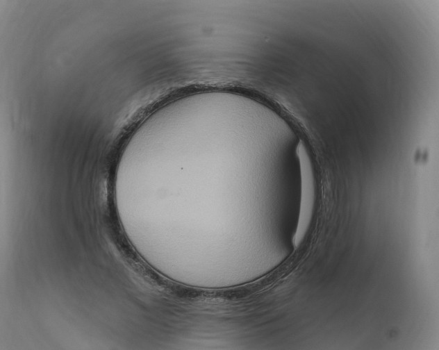 X0000111830685200908131547