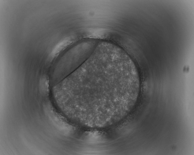 X0000111830688200908131547