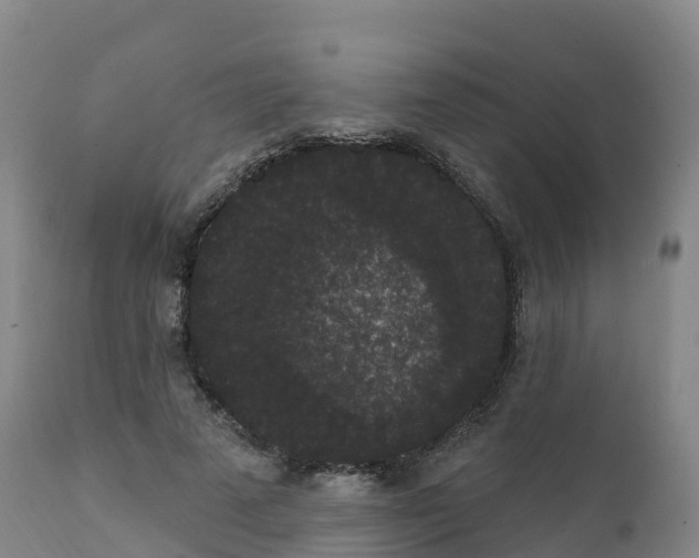 X0000111830689200908131547