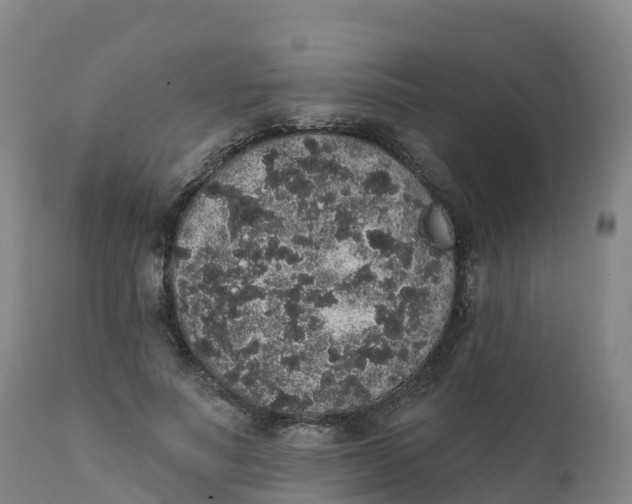 X0000111830691200908131547