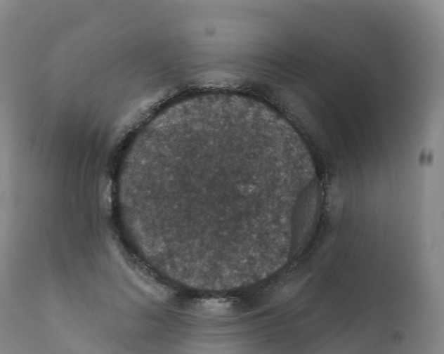 X0000111830692200908131547