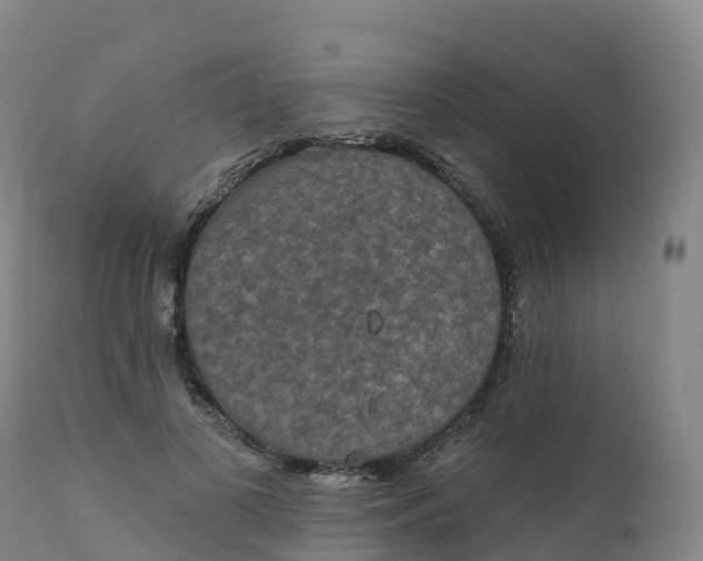 X0000111830693200908131547