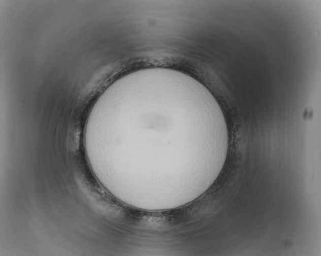 X0000111830694200908131547