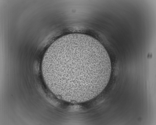 X0000111830695200908131547