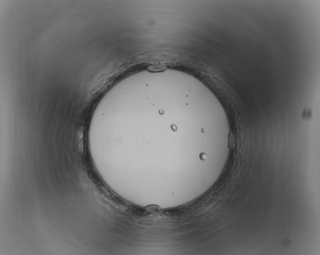 X0000111830696200908131547