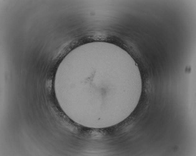 X0000111830697200908131547