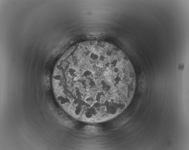 X0000111830699200908131547