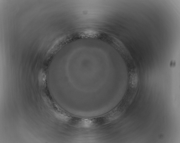 X0000111830701200908131547