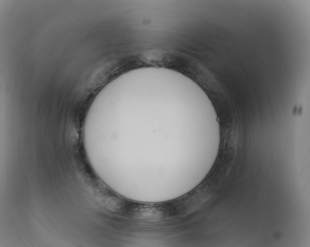 X0000111830702200908131546