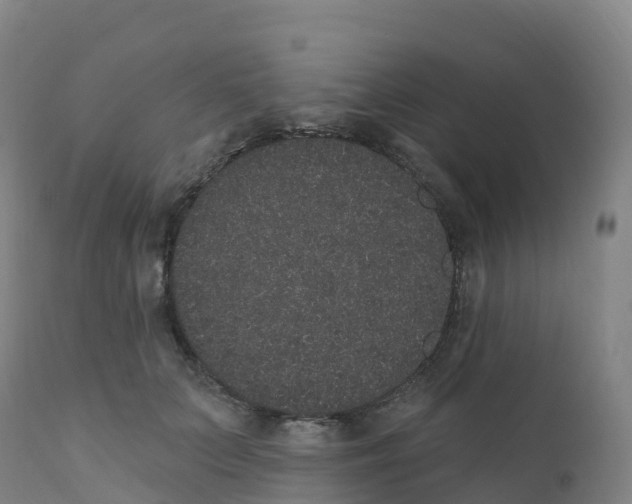 X0000111830703200908131546