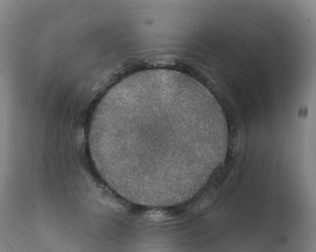 X0000111830704200908131546