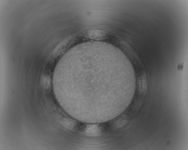 X0000111830705200908131546