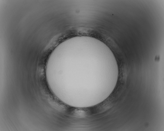 X0000111830706200908131546