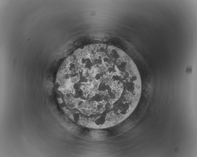 X0000111830707200908131546