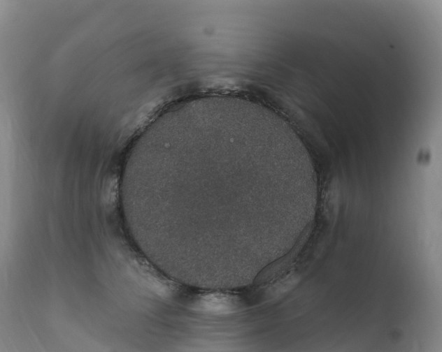 X0000111830708200908131546