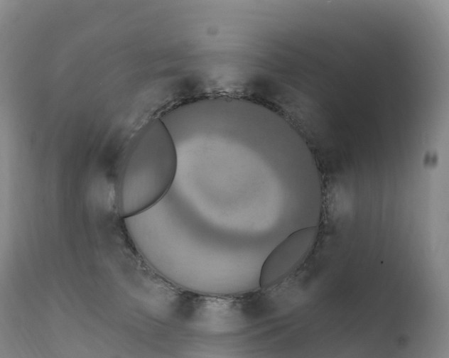 X0000111830709200908131546