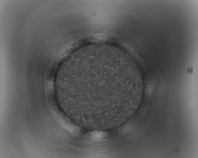 X0000111830711200908131546