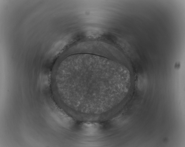 X0000111830712200908131546