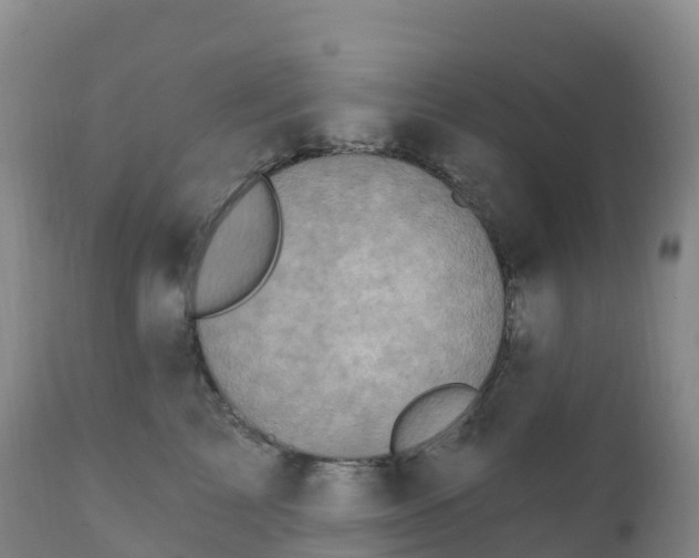 X0000111830713200908131546