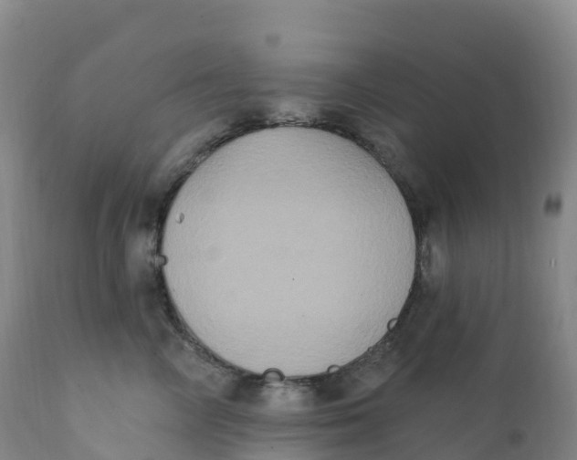 X0000111830714200908131546