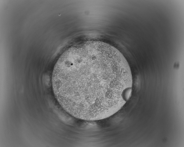 X0000111830715200908131546