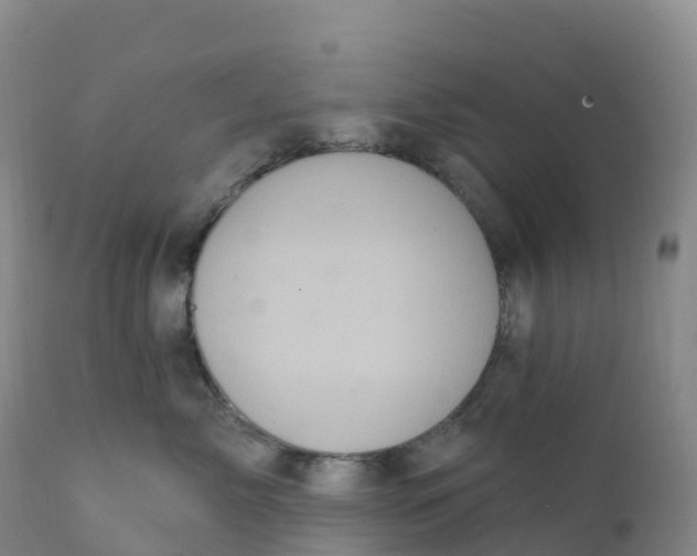 X0000111830717200908131546