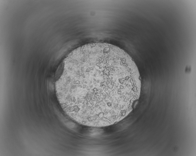 X0000111830719200908131546