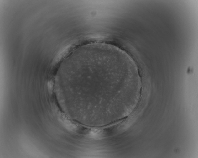 X0000111830720200908131546