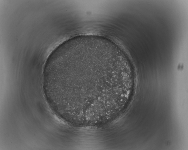 X0000111830721200908131546