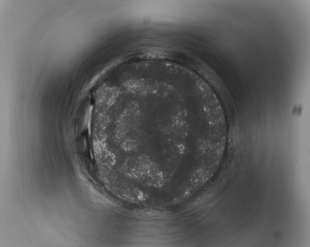 X0000111830722200908131546