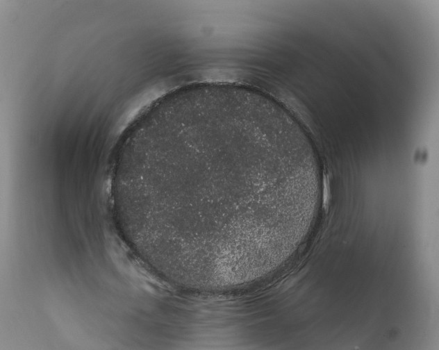 X0000111830723200908131546