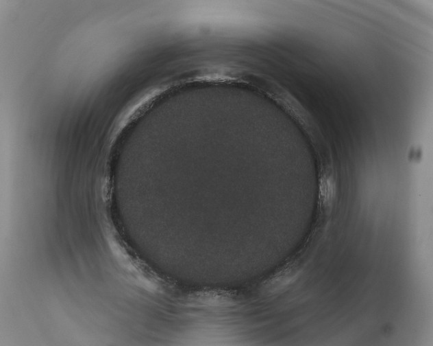 X0000111830724200908131546