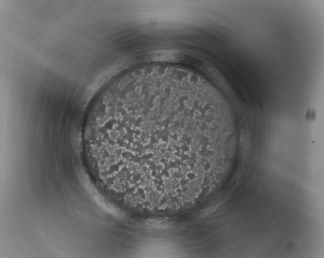 X0000111830725200908131546